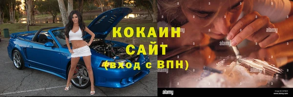 шишки Медвежьегорск