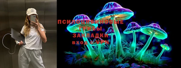 сатива Медногорск