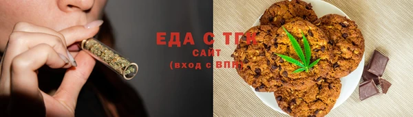 индика Мегион