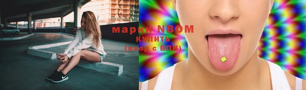 шишки Медвежьегорск