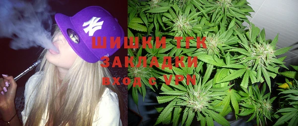 индика Мегион