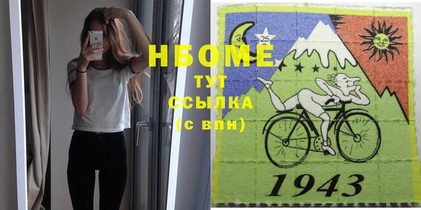 шишки Медвежьегорск