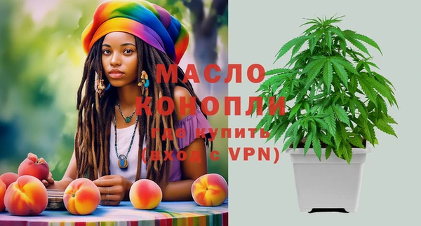 индика Мегион