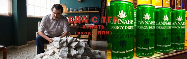 шишки Медвежьегорск