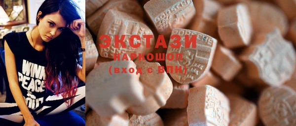 индика Мегион